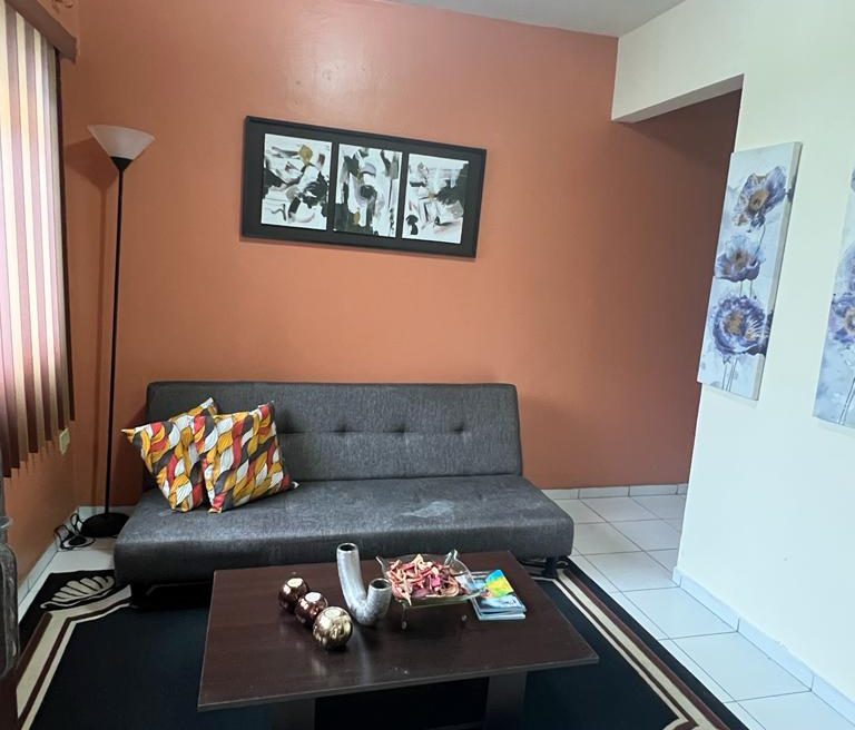 video image